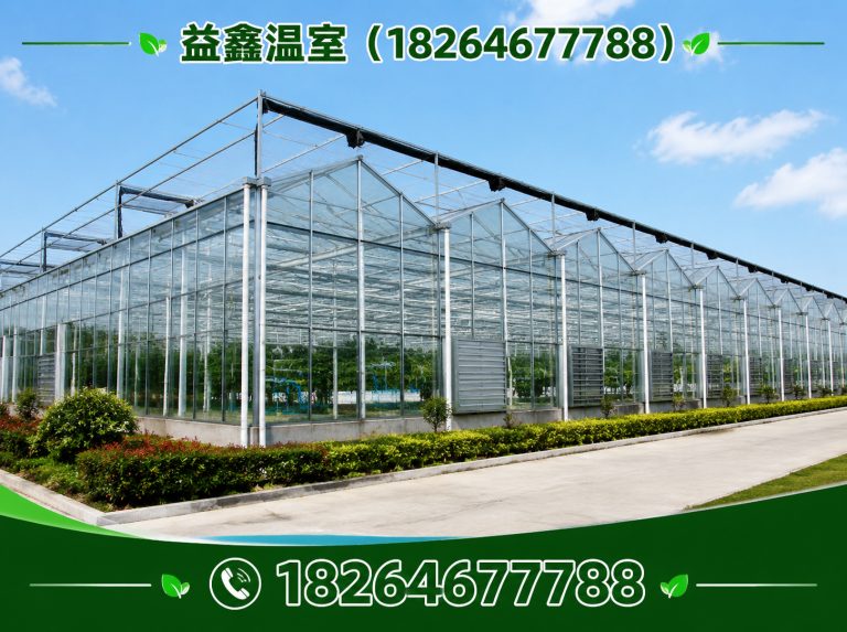 安丘市连栋温室展示图
