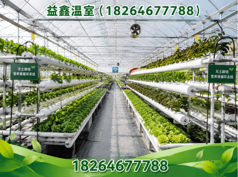 安丘市益鑫温室展示图